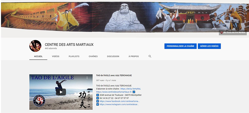 Centre des arts martiaux montpellier youtube
