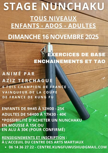 Stage Nunchaku 16 Novembre 2025 Montpellier Affiche du stage de Nunchaku du 16 novembre 2025 au Centre des Arts Martiaux de Montpellier